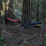 Camping in Lighthouse Park Camping in Lighthouse Park