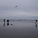 Clamming on Long Beach