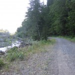 Carbon River Road