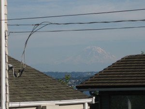Rainier View
