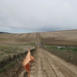 Muddy Road