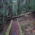 Appleton Pass Trail