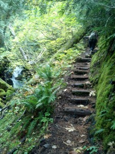 Cushman_3
