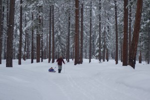 Elza Ski 7