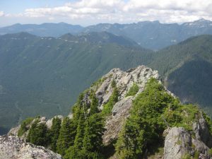 The top of Mt. Phelps